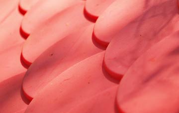 Hatt plastic roof costs